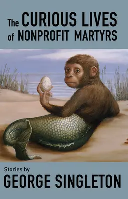 Zvedavé životy neziskových mučeníkov - The Curious Lives of Nonprofit Martyrs