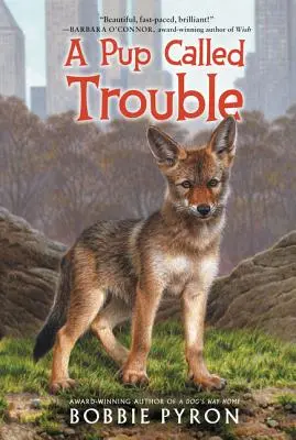 Šteniatko menom Trouble - A Pup Called Trouble