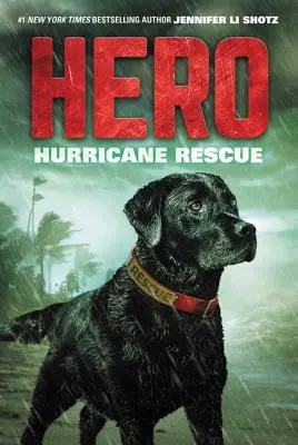 Hrdina: Záchrana pred hurikánom - Hero: Hurricane Rescue