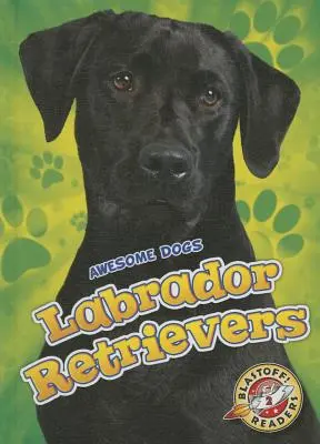 Labradorskí retrieveri Labradorskí retrieveri - Labrador Retrievers Labrador Retrievers