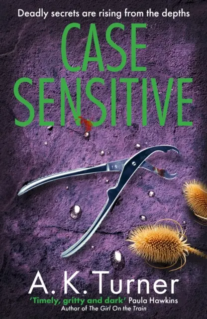 Citlivý prípad - napínavá forenzná záhada odohrávajúca sa v Camdene - Case Sensitive - A gripping forensic mystery set in Camden