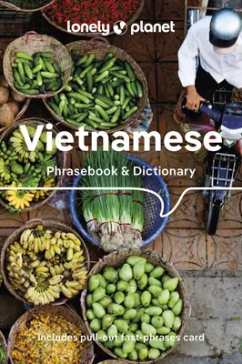 Lonely Planet Vietnamská frázová príručka a slovník 9 - Lonely Planet Vietnamese Phrasebook & Dictionary 9