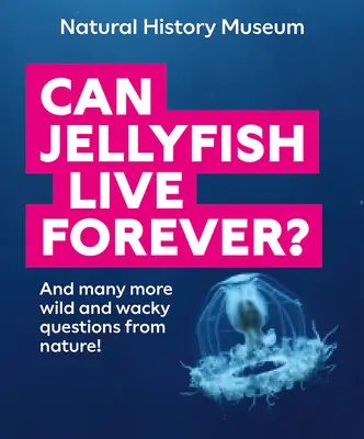 Môžu medúzy žiť večne? A mnoho ďalších divokých a bláznivých otázok z prírody! - Can Jellyfish Live Forever?: And Many More Wild and Wacky Questions from Nature!