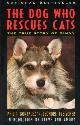 Pes, ktorý zachraňuje mačky: Kočka, ktorá sa venuje mačkám: skutočný príbeh Ginny, mačky, ktorá sa venuje mačkám - The Dog Who Rescues Cats: True Story of Ginny, the