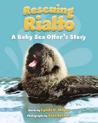Záchrana Rialta: Príbeh mláďaťa vydry morskej - Rescuing Rialto: A Baby Sea Otter's Story