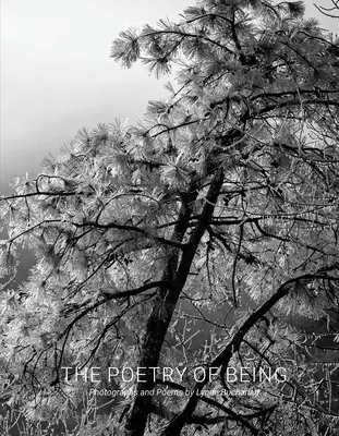 Poézia bytia: Haiku: fotografie a haiku - The Poetry of Being: Photographs and Haikus