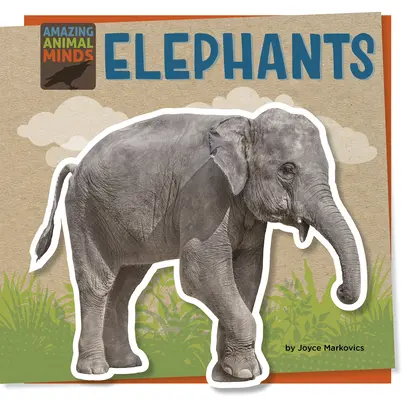 Slony - Elephants