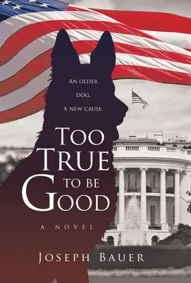 Príliš pravdivé, aby bolo dobré - Too True to Be Good