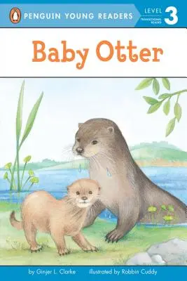 Mláďa vydry - Baby Otter