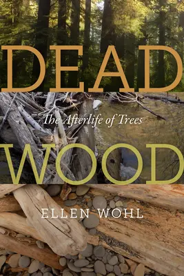 Mŕtve drevo: posmrtný život stromov - Dead Wood: The Afterlife of Trees