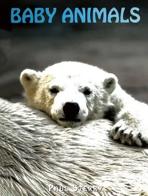 Mláďatá zvierat - Baby Animals