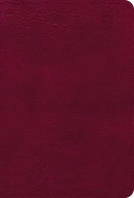 Kompaktná referenčná Biblia NASB s veľkou tlačou, burgundská koža Leathertouch - NASB Large Print Compact Reference Bible, Burgundy Leathertouch