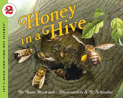 Med v úli - Honey in a Hive
