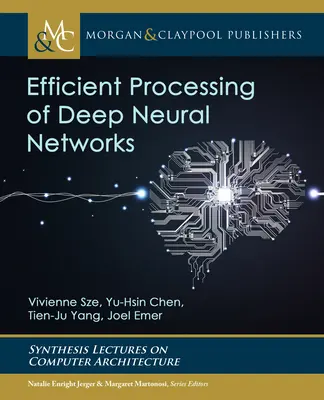 Efektívne spracovanie hlbokých neurónových sietí - Efficient Processing of Deep Neural Networks