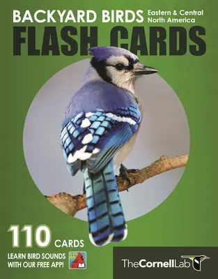 Flash karty vtákov na dvore - východná a stredná časť Severnej Ameriky - Backyard Birds Flash Cards - Eastern & Central North America