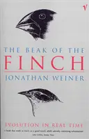 Zobák pinky - Beak Of The Finch