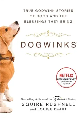 Dogwinks: Pravdivé Godwink príbehy o psoch a požehnaniach, ktoré prinášajú - Dogwinks: True Godwink Stories of Dogs and the Blessings They Bring