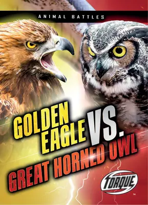 Orol skalný vs. sova dlhochvostá - Golden Eagle vs. Great Horned Owl