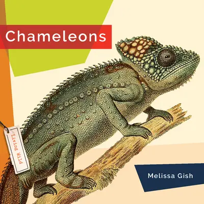Chameleóni - Chameleons