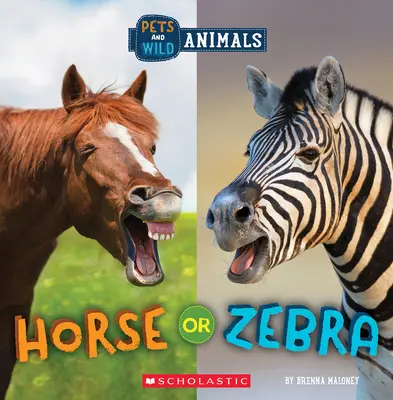 Kôň alebo Zebra (Divoký svet: Domáce zvieratá a divoké zvieratá) - Horse or Zebra (Wild World: Pets and Wild Animals)