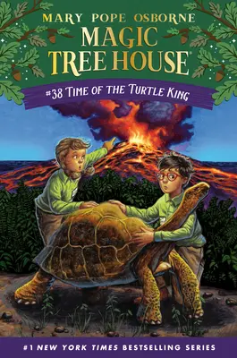 Čas korytnačieho kráľa - Time of the Turtle King