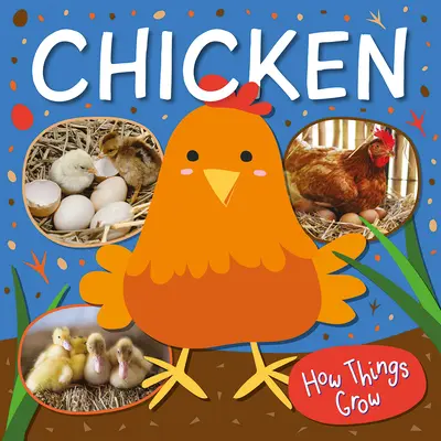 Sliepky - Chicken