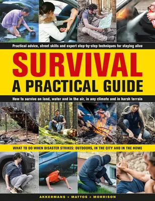 Prežitie: praktická príručka: Čo robiť, keď dôjde k nešťastiu: Vonku, v meste a doma - Survival: A Practical Guide: What to Do When Disaster Strikes: Outdoors, in the City and in the Home