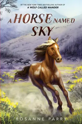 Kôň menom Sky - A Horse Named Sky