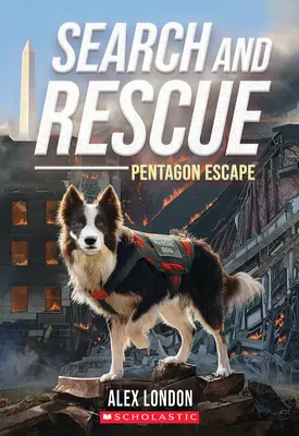 Pátranie a záchrana: Útek z Pentagonu - Search and Rescue: Pentagon Escape