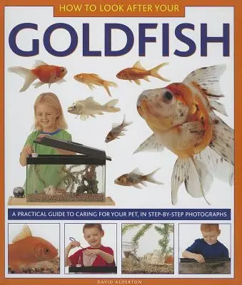 Ako sa starať o zlatú rybku: Praktický návod na starostlivosť o domáce zvieratko vo fotografiách krok za krokom - How to Look After Your Goldfish: A Practical Guide to Caring for Your Pet, in Step-By-Step Photographs