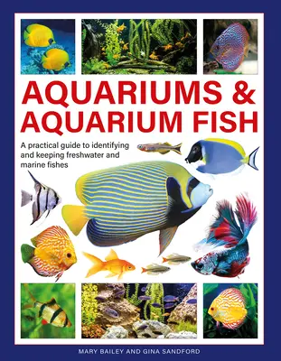 Akváriá a akváriové ryby: Praktický sprievodca identifikáciou a chovom sladkovodných a morských rýb - Aquariums & Aquarium Fish: A Practical Guide to Identifying and Keeping Freshwater and Marine Fishes