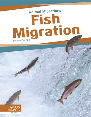 Migrácia rýb - Fish Migration