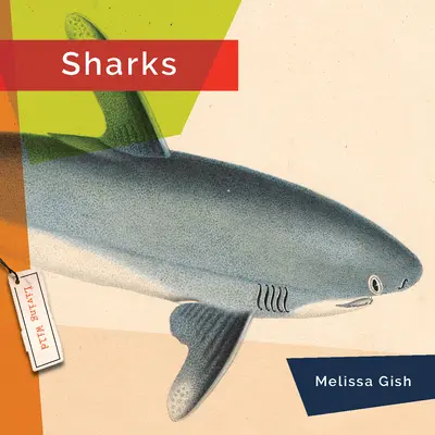 Žraloky - Sharks