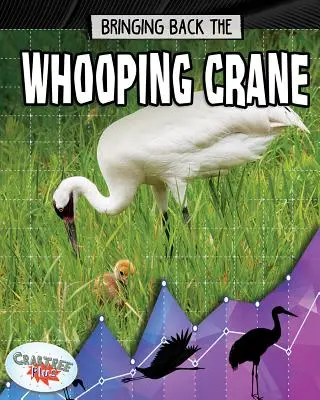 Návrat žeriava vrchovského - Bringing Back the Whooping Crane