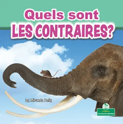 Quels Sont Les Contraires? (Čo sú protiklady?) - Quels Sont Les Contraires? (What Are Opposites?)