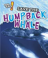 Zachráňte veľrybu hrbatú - Save the Humpback Whale