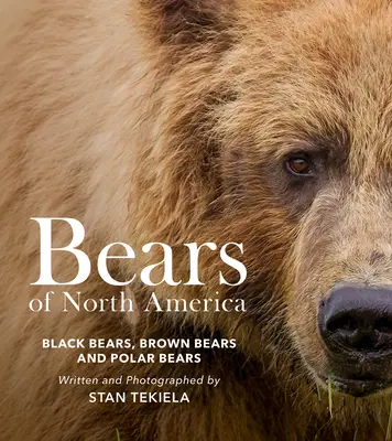 Medvede Severnej Ameriky: Medvede čierne, medvede hnedé a medvede ľadové - Bears of North America: Black Bears, Brown Bears, and Polar Bears
