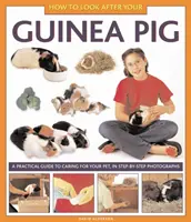 Ako sa starať o morča - How to Look After Your Guinea Pig