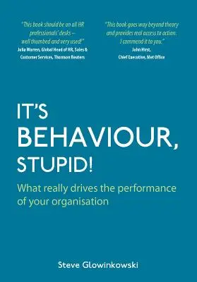 Je to správanie, hlupák!: Čo skutočne riadi výkonnosť vašej organizácie - It's Behaviour, Stupid!: What Really Drives the Performance of Your Organisation