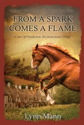 Z iskry vzniká plameň: A Spin Off Novella from The Horses Know Trilogy - From A Spark Comes A Flame: A Spin Off Novella from The Horses Know Trilogy