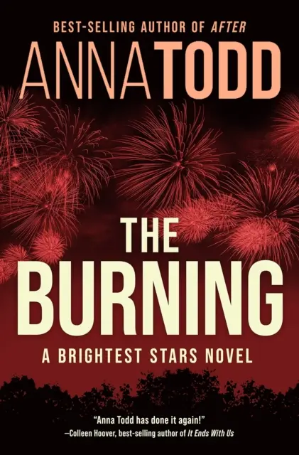 Burning - román o najjasnejších hviezdach - Burning - A Brightest Stars novel