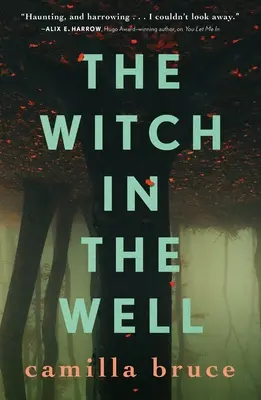 Čarodejnica v studni - The Witch in the Well