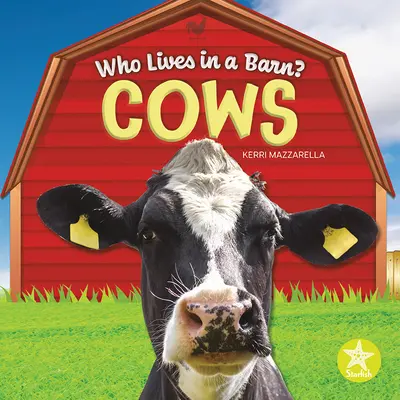 Kravy - Cows