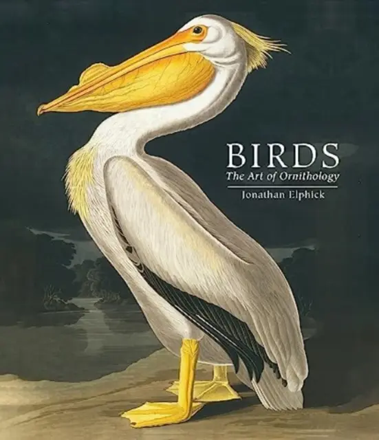 Vtáky - Umenie ornitológie (vreckové vydanie) - Birds - The Art of Ornithology (Pocket edition)
