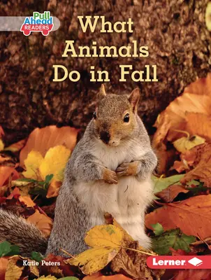 Čo robia zvieratá na jeseň - What Animals Do in Fall