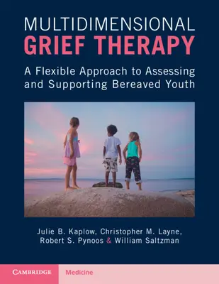 Multidimenzionálna terapia smútkom - flexibilný prístup k hodnoteniu a podpore mladých ľudí, ktorí prežili smútok - Multidimensional Grief Therapy - A Flexible Approach to Assessing and Supporting Bereaved Youth