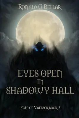 Otvorené oči v tienistej sále: Osud Vaeldoru, kniha 3 - Eyes Open In Shadowy Hall: Fate of Vaeldor Book 3