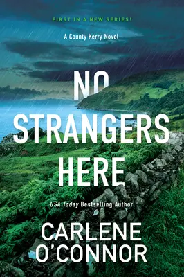 Žiadni cudzinci tu nie sú: Pútavý írsky triler - No Strangers Here: A Riveting Irish Thriller