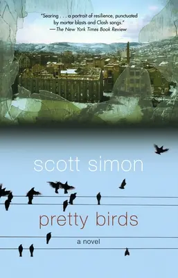 Pekné vtáky - Pretty Birds