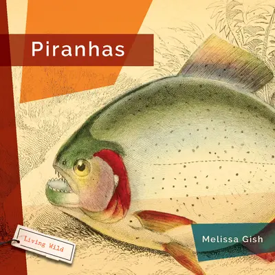 Pirane - Piranhas